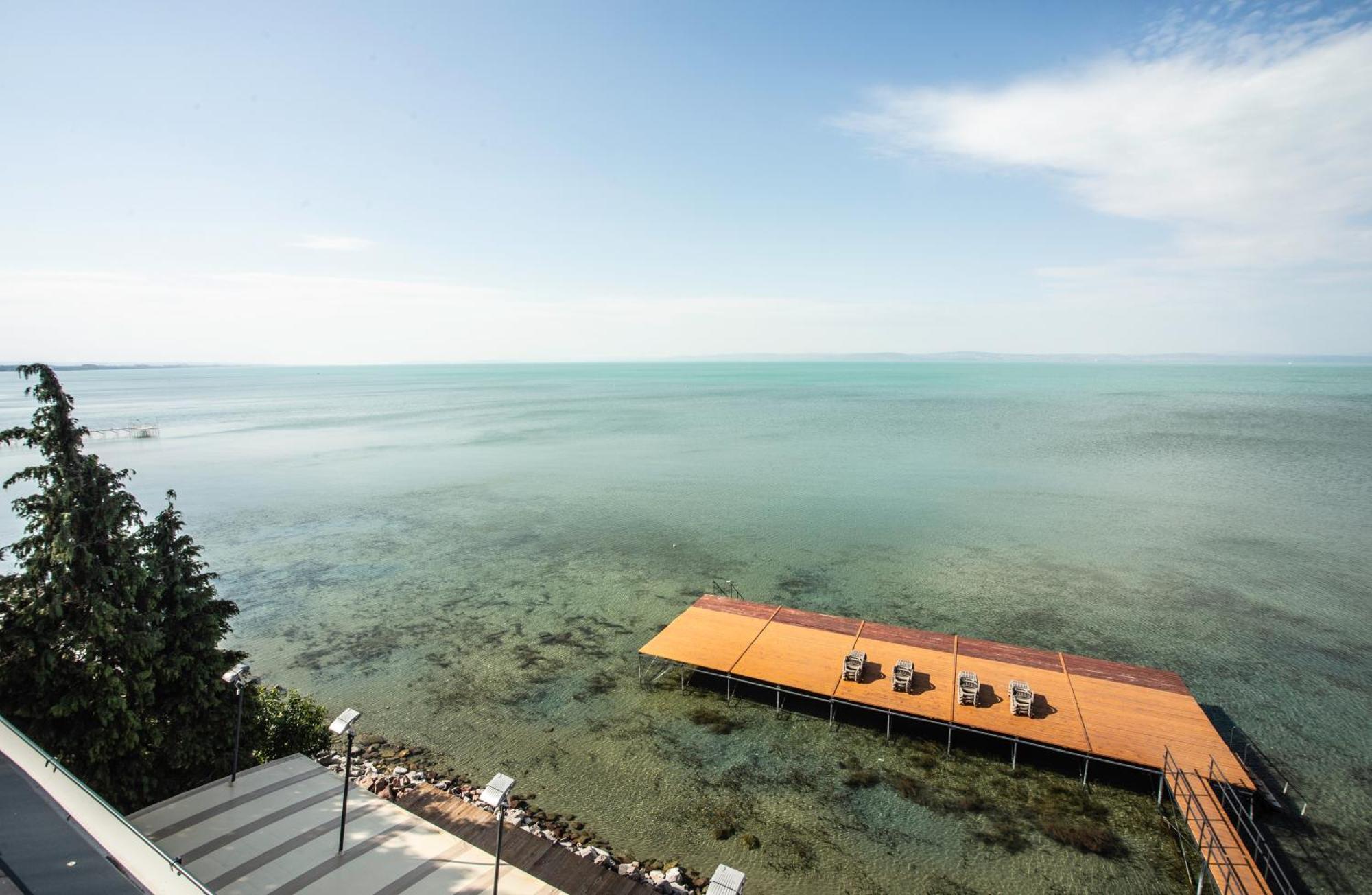 BalatonvilágosDalma Panzio住宿加早餐旅馆 外观 照片